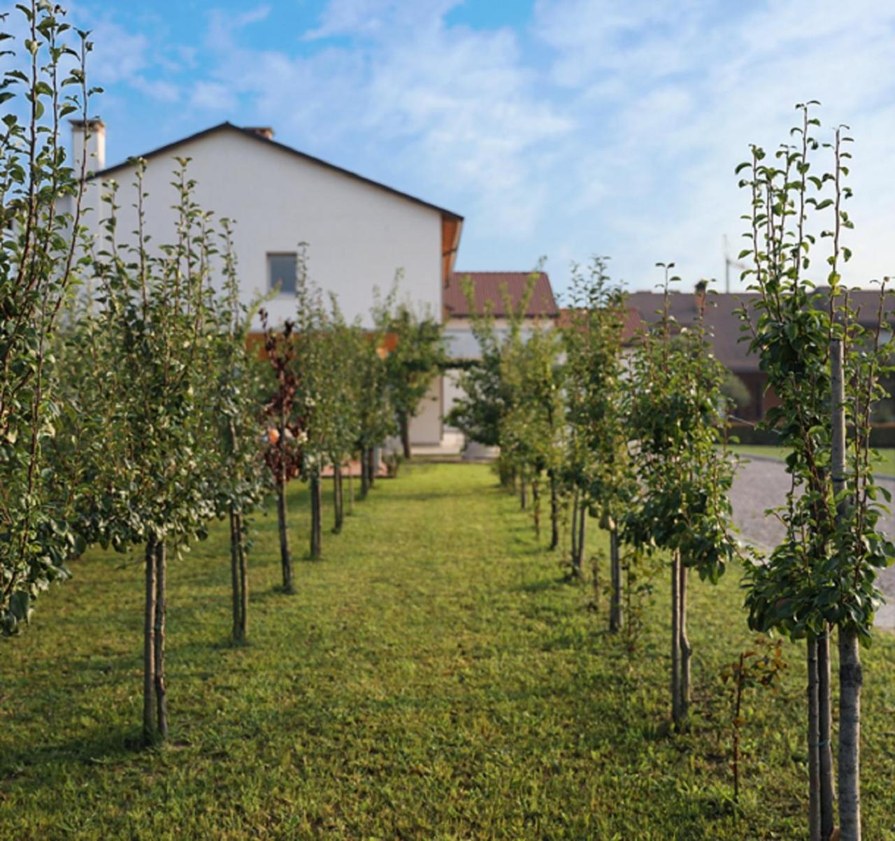 Agriturismo Corte Foscara 말콘텐타 외부 사진